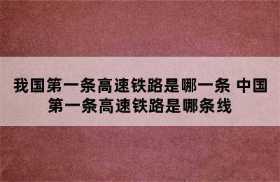 我国第一条高速铁路是哪一条 中国第一条高速铁路是哪条线